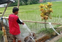 Pompa Satelit di pesawahan Lebak. Foto; LKBN Antara