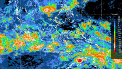 Perkiraan gelombang tinggi dari BMKG. Foto: BMKG