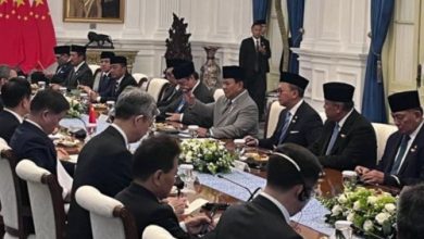Pertemuan Presiden RI, Prabowo Subianto dengan PM China, Li Qiang di Istana. Foto: Antara