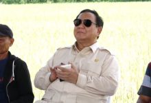 Prabowo Subianto, Presiden RI. Foto: Antara