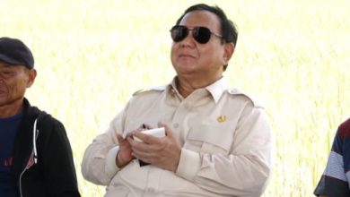 Prabowo Subianto, Presiden RI. Foto: Antara