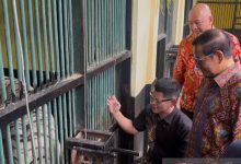 Gubernur Jakarta, Pramono Anung meninjau Taman Margasatwa Ragunan. Foto: Antara