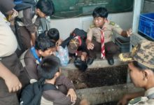 Penggalang Pramuka SDN Tugu Utara 01 belajar pengolahan sampah yang ramah lingkungan. Foto Yusvin Karuyan