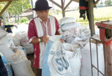 Surplus produksi beras di Lebak. Foto: KBN Antara