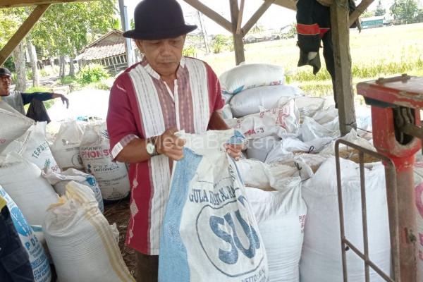 Surplus produksi beras di Lebak. Foto: KBN Antara