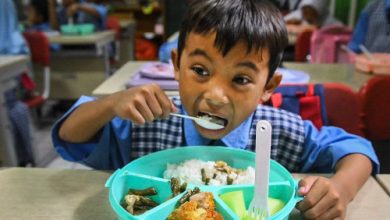 Uji coba pelaksanaan program makan bergizi gratis. Foto: Antara