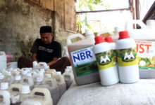 Pupuk Organik. Foto: LKBN Antara