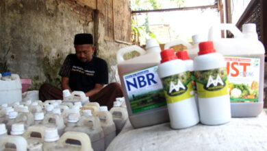 Pupuk Organik. Foto: LKBN Antara