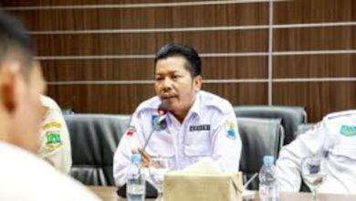 Rafik Rahmat Taufik, Kades Bayah Timur yang juga Sekretaris Apdesi Banten. Foto: Istimewa