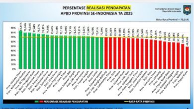Realisasi pendapatan dan belanja provinsi di Indonesia. Foto: Biro Adpim Banten