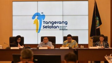 Wakil Wali Kota Tangerang Selatan, Pilar Saga ichsan saat menerima reses Komisi VII DPR RI. Foto Antara