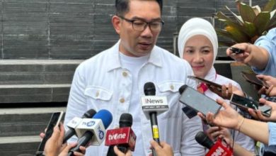 Ridwan Kamil, mantan Gubernur Jawa Barat. Foto: Antara