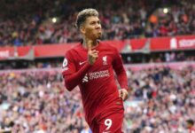 roberto firmino
