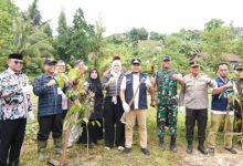 Wali Kota Cilegon, Robinsar mengawali penanaman sejuta pohon. Foto Daeng Yusvin
