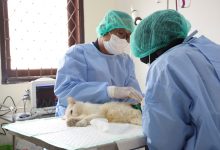 Rumah Sakit Hewan Provinsi Banten di Taktakan, Kota Serang. Foto: Biro Adpim Banten