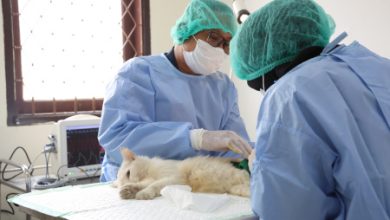 Rumah Sakit Hewan Provinsi Banten di Taktakan, Kota Serang. Foto: Biro Adpim Banten