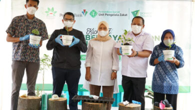 Kampung Herbal mulai dibangun di Tangerang Selatan