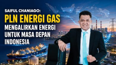 Saiful Chaniago, Komisaris Utama PT PLN Energi Gas. Foto Koleksi Pribadi