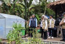 Menteri Sosial, Saifullah Yusuf tinjau Taman Edukasi. Foto: Antara