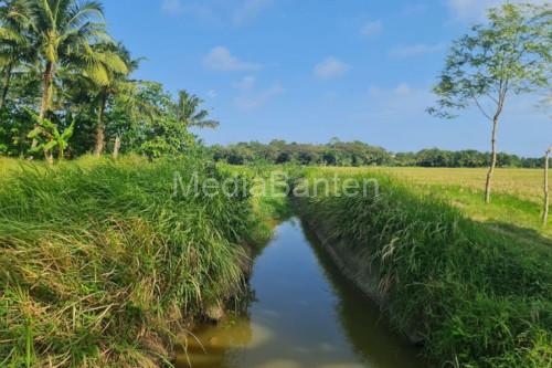 Salah satu irigasi di Cibaliung, Kabupaten Pandeglang. Foto: Antara