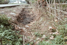 Selama 7 tahun, saluran irigasi di 3 kecamatan Kabupaten Tangerang tak berfungsi. Foto: Iqbal Kurnia