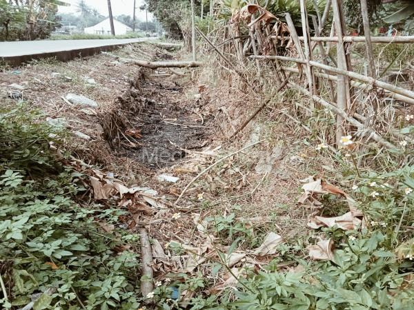 Selama 7 tahun, saluran irigasi di 3 kecamatan Kabupaten Tangerang tak berfungsi. Foto: Iqbal Kurnia