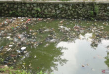 Sampah memenuhi Danau Hutan Kota Tiga Rakysa. Foto: LKBN Antara
