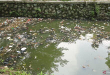 Sampah memenuhi Danau Hutan Kota Tiga Rakysa. Foto: LKBN Antara