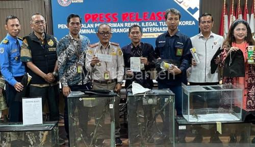 Konfferensi pers penyeludnupan reptil oleh WNA Korea Selatan. Foto: Antara