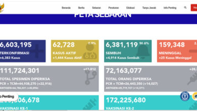Laporan Satgas Covid 19. Foto: Satgas Covid 19