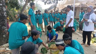 Sekolah lapangan DPKP Kabupaten Pandegalng untuk tekan penggunaan bahan kimia. Foto: Sutisna