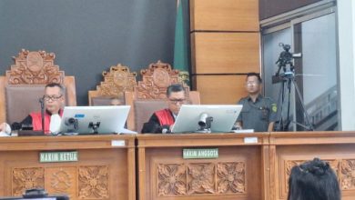Sidang putusan Nikita Mirzani di PN Jaksel. Foto: Antara