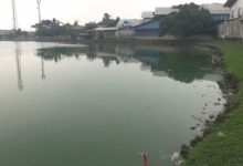 Situ Cangkring Periuk, Kota Tangerang. Foto: Antara