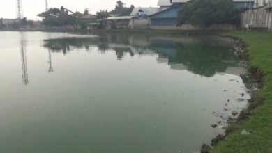 Situ Cangkring Periuk, Kota Tangerang. Foto: Antara