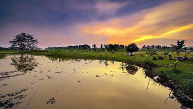 Situ Cihuni. Foto: Direktori Pariwisata.