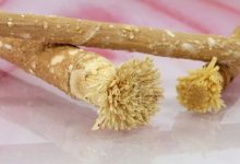siwak