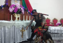 sterilisasi misa natal