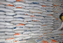 Stok beras Bulog. Foto: Istimewa