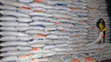 Stok beras Bulog. Foto: Istimewa