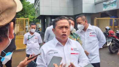 wakil walikota serang