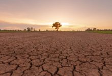 Ilustrasi cuaca panas ekstrem. Foto: Istimewa