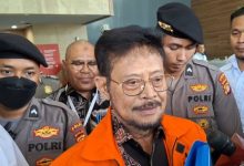 Syahrul Yasin Limpo atau SYL, Mantan Menteri Pertanian. Foto: LKBN Antara