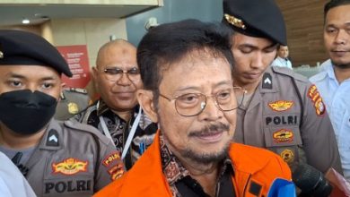 Syahrul Yasin Limpo atau SYL, Mantan Menteri Pertanian. Foto: LKBN Antara
