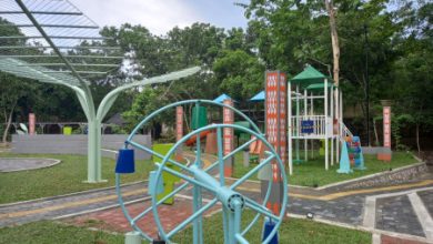 Hutan Kota atau Taman Cipocok Jaya. Foto: Aden Hasanudin