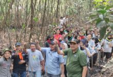 Penanamam mangrove di kawasan Ekowisata Angke. Foto: Diskominfo DKI Jakarta