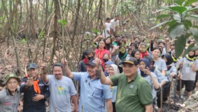 Penanamam mangrove di kawasan Ekowisata Angke. Foto: Diskominfo DKI Jakarta