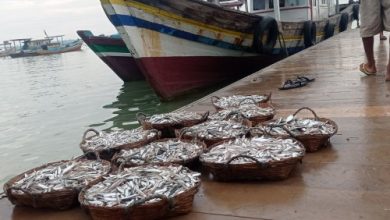 Tangkapan ikan di Kabupaten Lebak. Foto: Antara