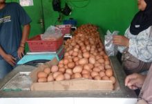 Telur ayam dan unggas pedaging melimpah di Pasar Tradisional Lebak. Foto Antara
