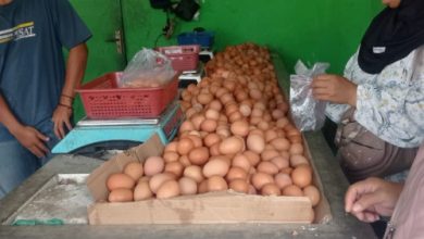 Telur ayam dan unggas pedaging melimpah di Pasar Tradisional Lebak. Foto Antara