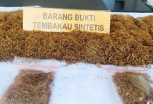 barang bukti tembakau gorilla.